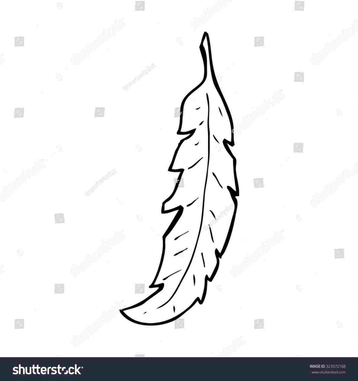 1185x1264 Simple Drawing Image Of Cartoon Feather Black White Line Stock