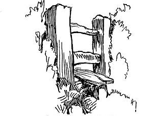 300x228 Drawing For Beginnerschapter