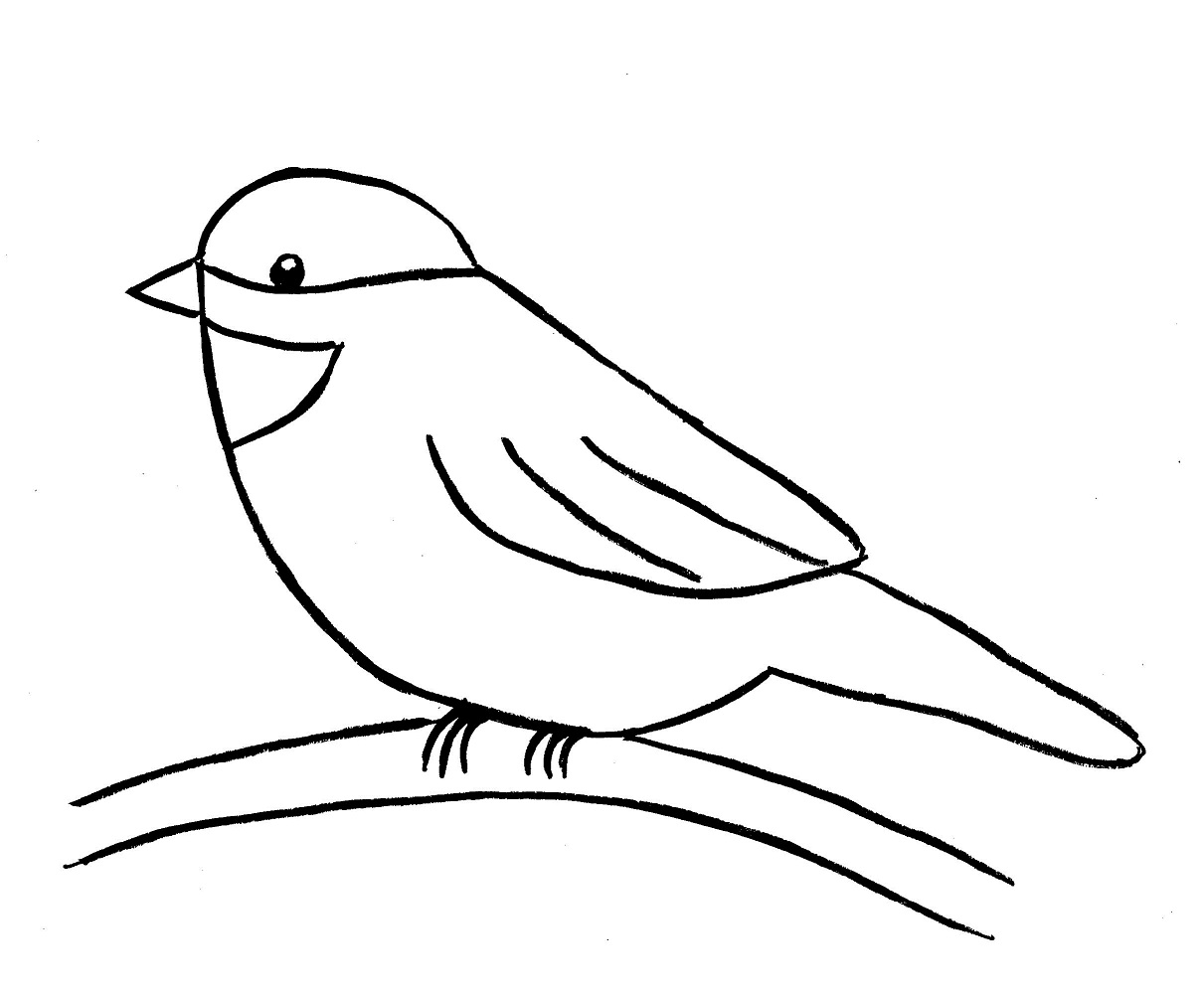1211x1002 Mockingbird Drawing Easy For Free Download
