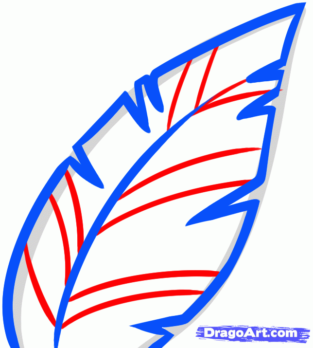 644x715 How To Draw A Fern, Step