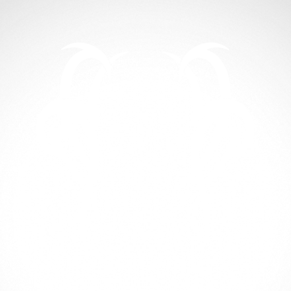 600x600 Drawing Tribals Fire Transparent Png Clipart Free Download