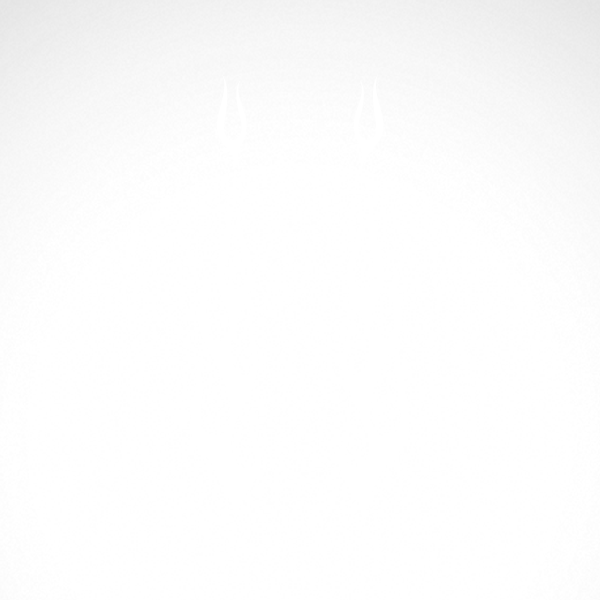 600x600 Simple Color Vinyl Pair Of Flames Stickers Factory