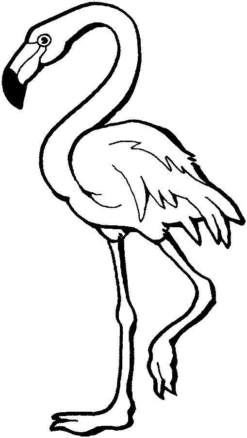 Simple Flamingo Drawing