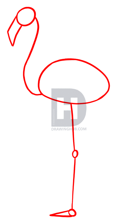 452x720 How To Draw Flamingos, Step