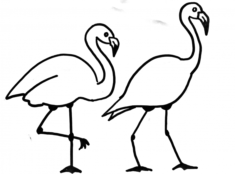 800x593 How To Paint A Flamingo