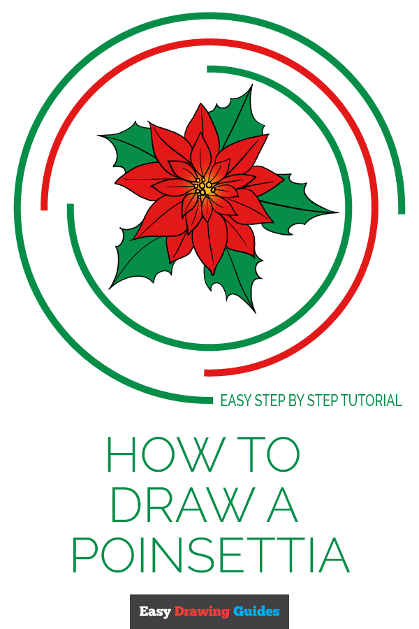 600x900 How To Draw A Poinsettia