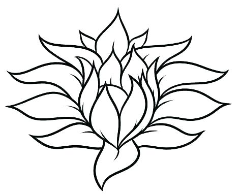 474x382 Simple Drawing Of A Flower