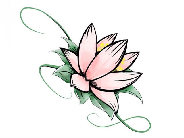 640x480 Simple Flower Drawings