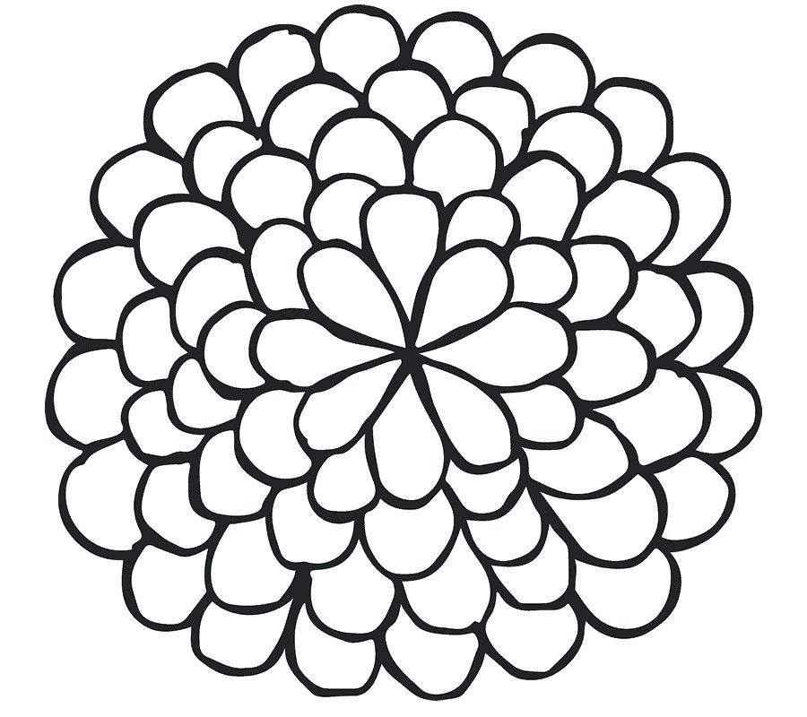 900x800 Flower Drawing Simple
