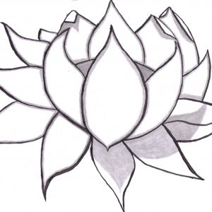 300x300 Simple Flower Drawing Refrence Easy Cute Flower Drawings Cute