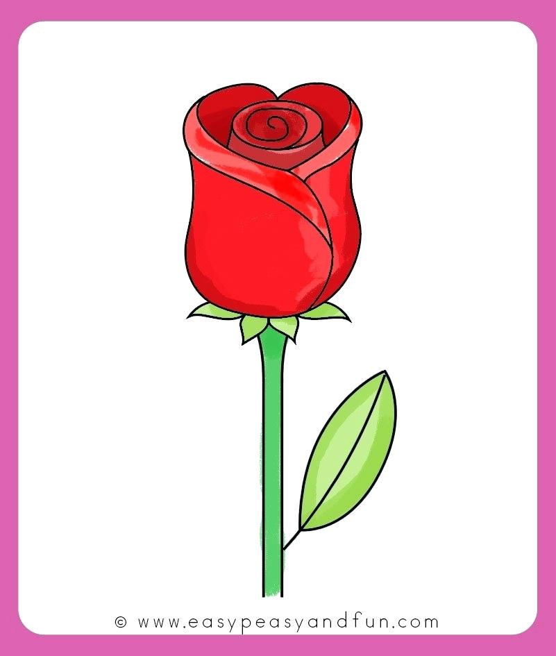801x945 Drawings Of Easy Roses Easy Way To Draw Rose Flower