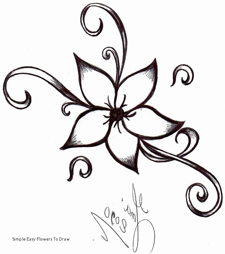 736x830 Photos Of Simple Flowers Drawing Coloring Pages Collection