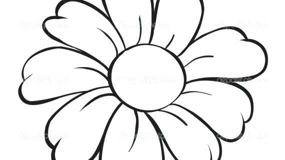 570x320 Simple Flower Drawings Flower Line Drawing