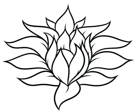 474x382 Simple Flower To Draw Simple Flower Drawing Sketch Images