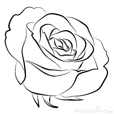400x400 Simple Roses Drawings Roses Simple Line Drawings Flowers