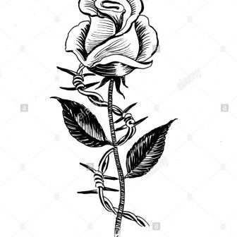 336x336 Black And White Flowers Line Drawing Simple Rose Skull Free Tattoo