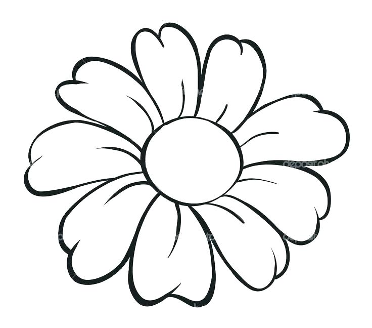 736x648 Draw A Simple Flower