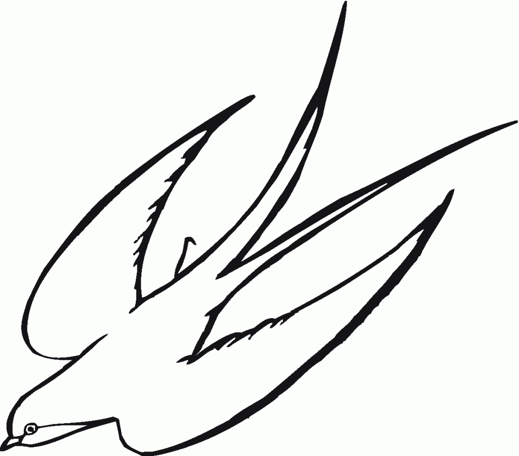 1024x900 Fly Drawing Simple For Free Download