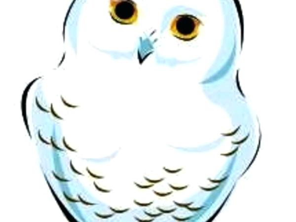 Simple Flying Owl Drawing | Free download on ClipArtMag