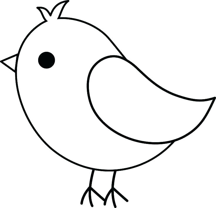 736x711 Simple Drawing Of A Bird