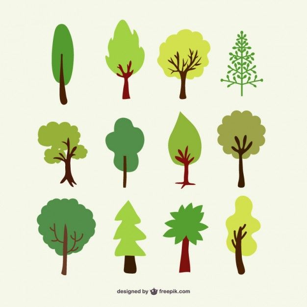 626x626 Forest Trees Vector Set Vynil Wall Vector Tree