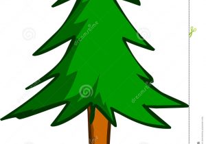 300x210 Simple Pine Tree Drawing Simple Pine Tree Drawing How To Draw