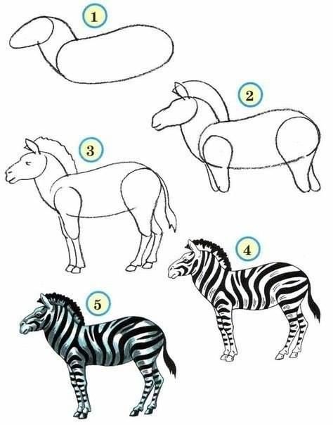 474x604 How To Draw Zoo Animals Easily Diy Zebra Drawing, Drawings