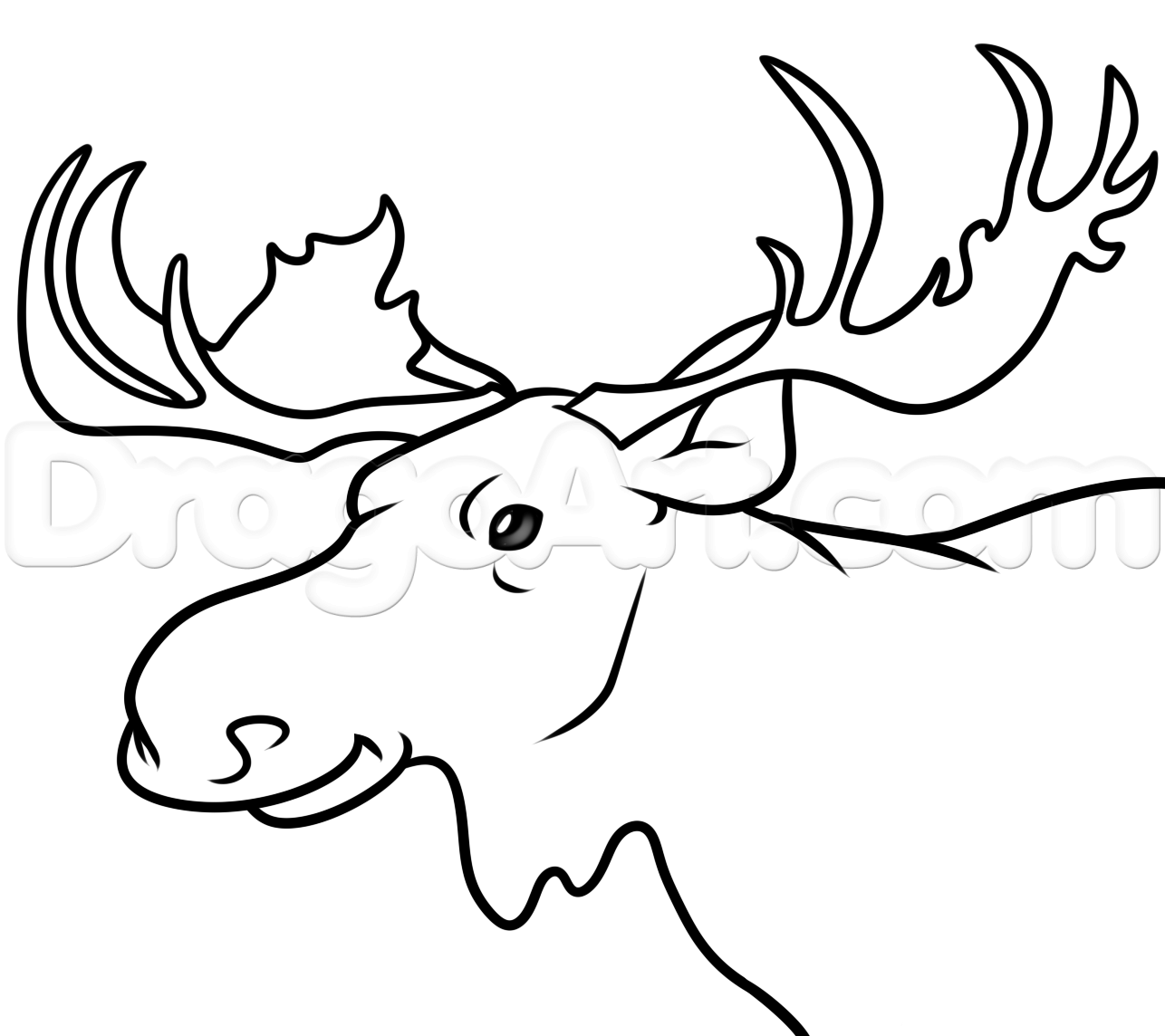 1286x1144 Moose Head Drawing Tutorial, Step