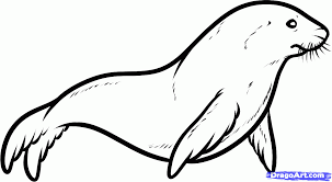 303x166 Image Result For Simple Seal Drawing Art