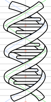 170x340 dna sequencing step