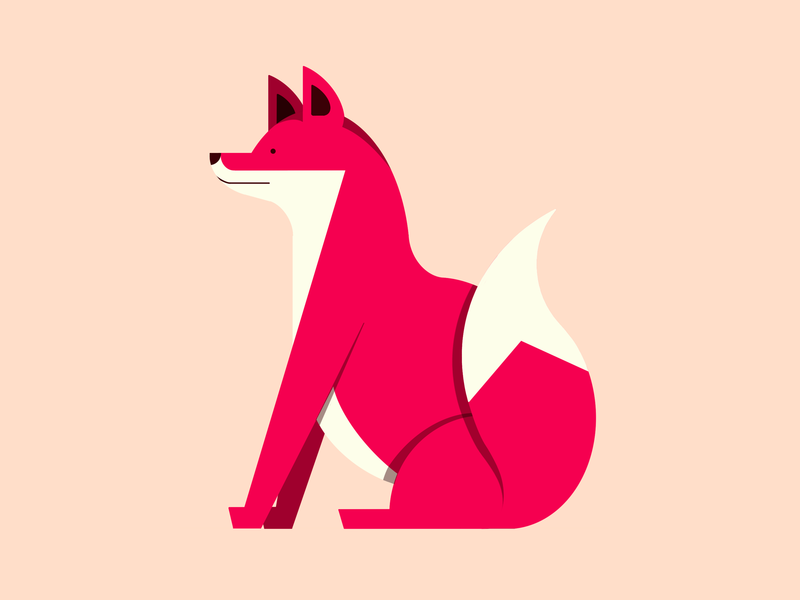 800x600 Wandering Fox