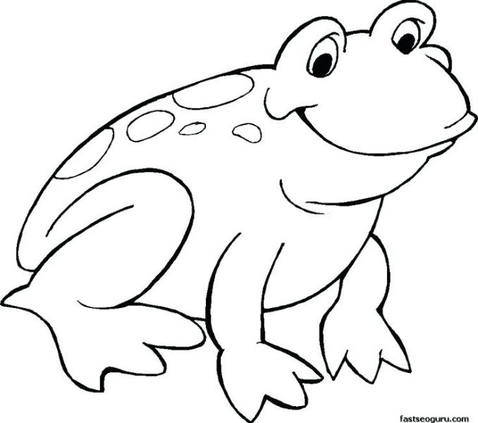 678x600 Frog Pictures To Color Frogs Drawing