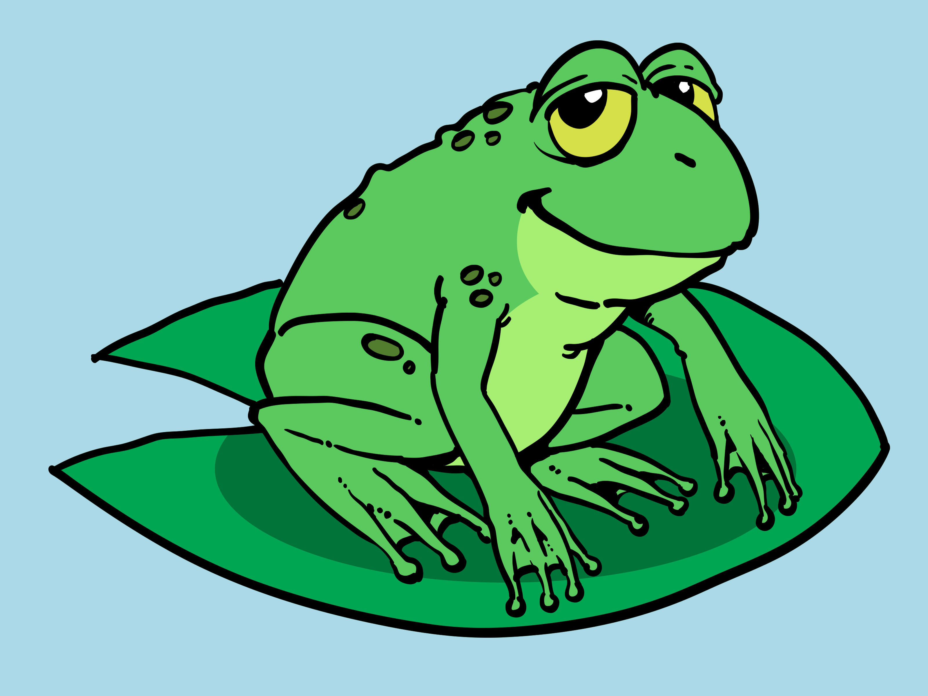 3200x2400 How To Draw A Cartoon Frog Steps