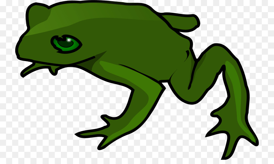 900x540 frog, amphibians, drawing, transparent png image clipart free