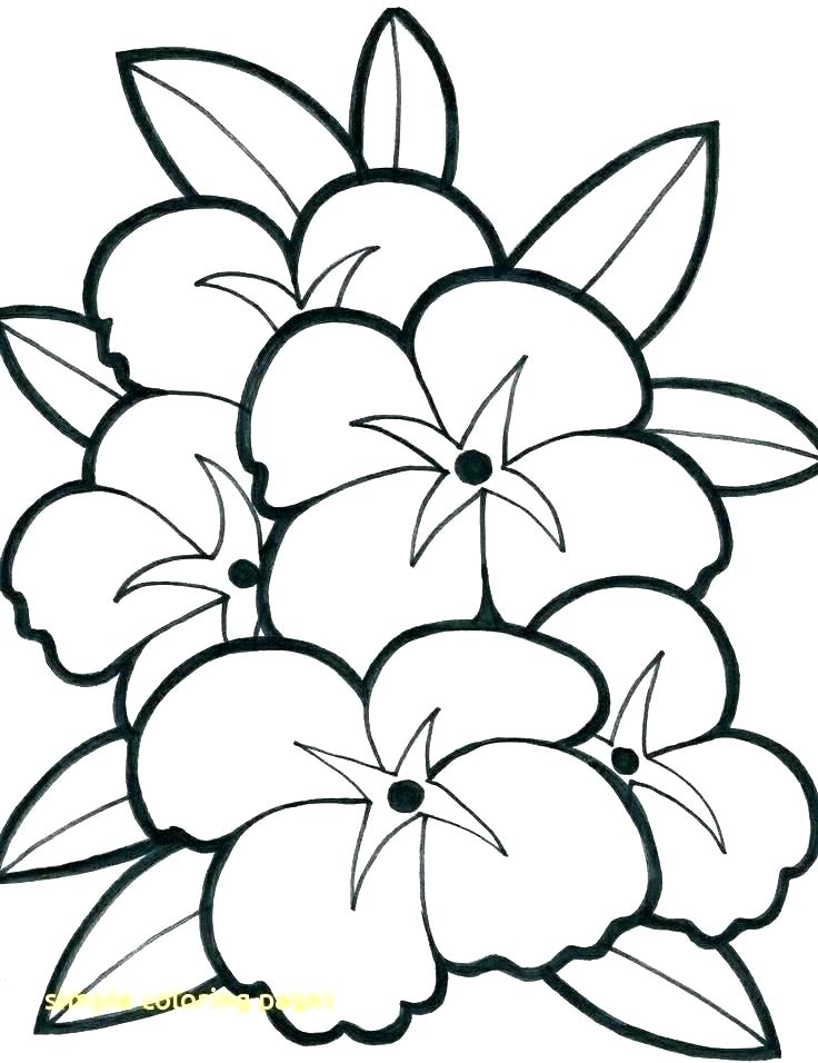 736x956 easy flower coloring pages for adults colouring garden capture