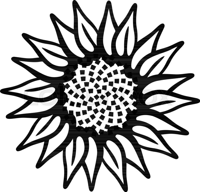 800x769 Garden Flower Icon Simple Stock Vector Colourbox