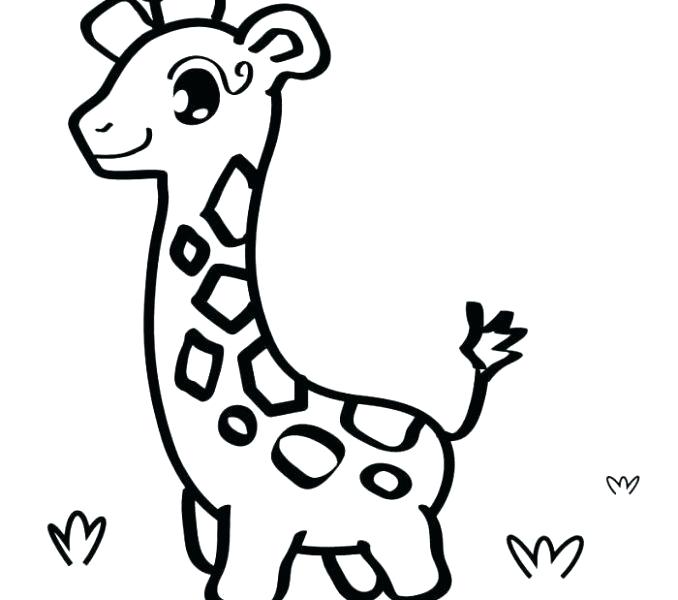 678x600 How To Draw A Simple Animal Simple Animal Coloring Pages Coloring