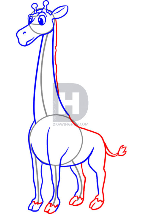 481x720 How To Draw A Simple Giraffe, Step