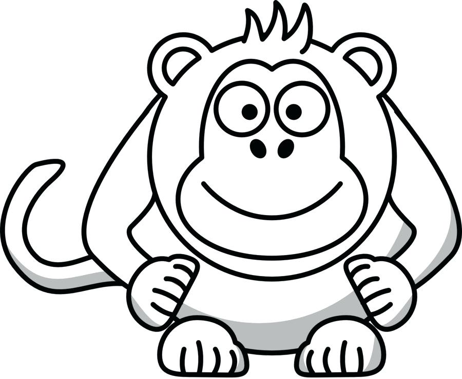 900x740 Drawings Of Baboons Baboons Cartoon Of Easy Drawings Of Baboons
