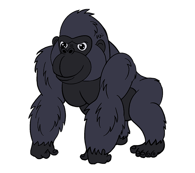 678x600 How To Draw A Cartoon Gorilla In A Few Easy Steps Easy Drawing