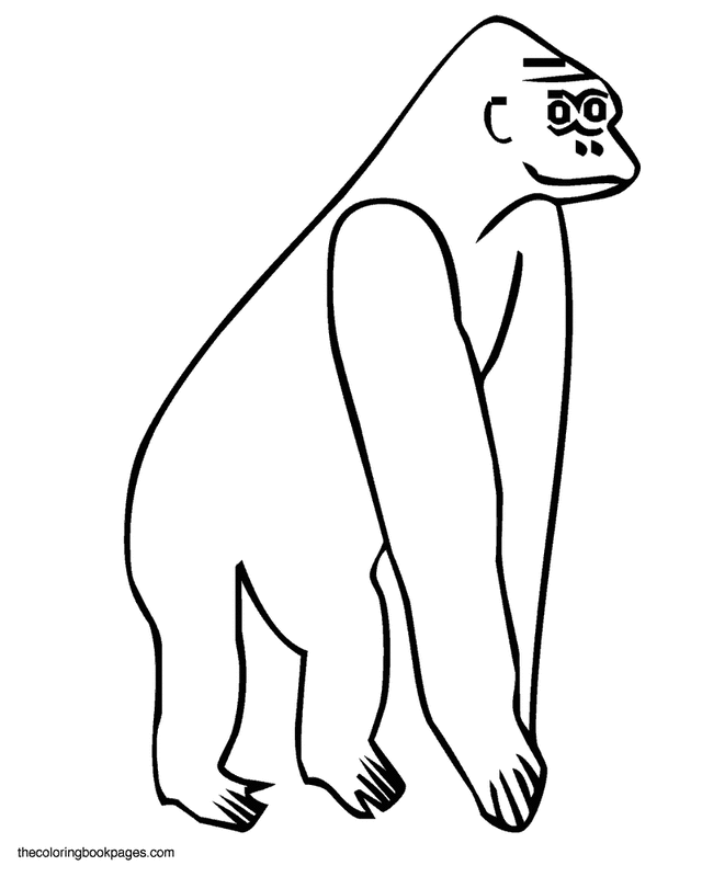 640x800 Simple Gorilla Monkey And Coloring Book Pages