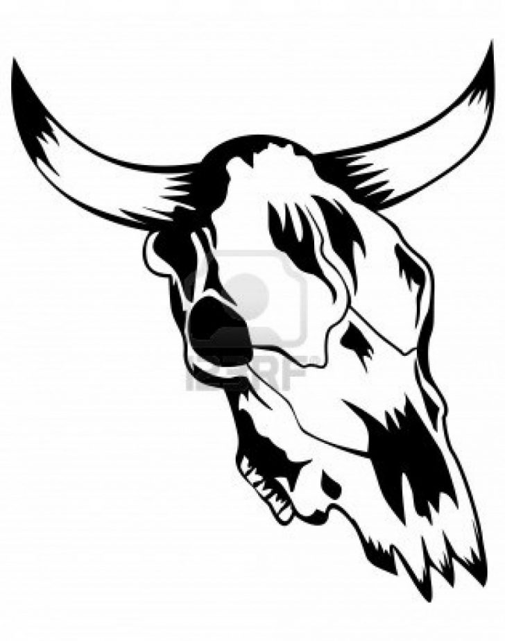 728x924 Cow Drawing Simple Picture Skull Tumblr Reference Of Vector