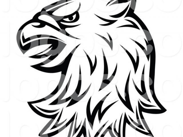 640x480 harris hawk clipart simple cartoon