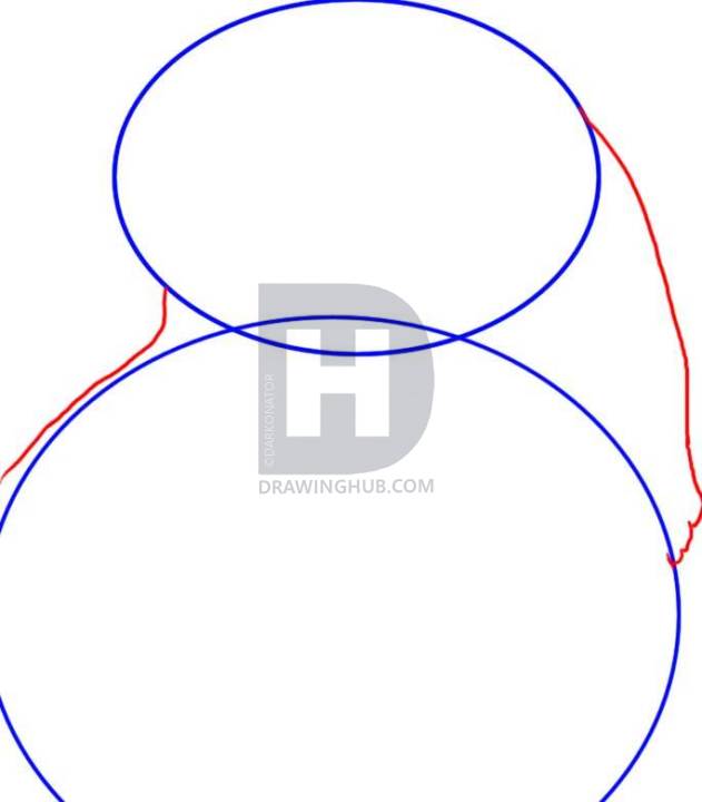 631x720 How To Draw A Hawk, Step