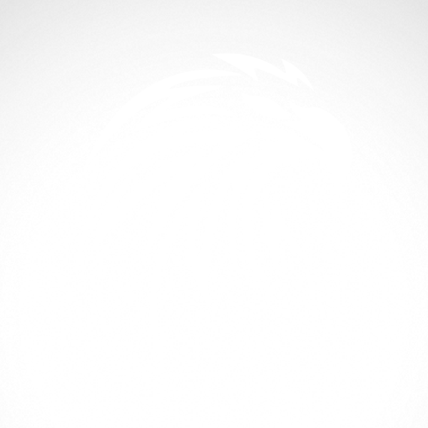 600x600 Simple Color Vinyl Eagle Hawk Head Stickers Factory