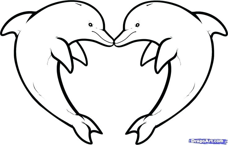 736x470 Easy Way To Draw A Dolphin
