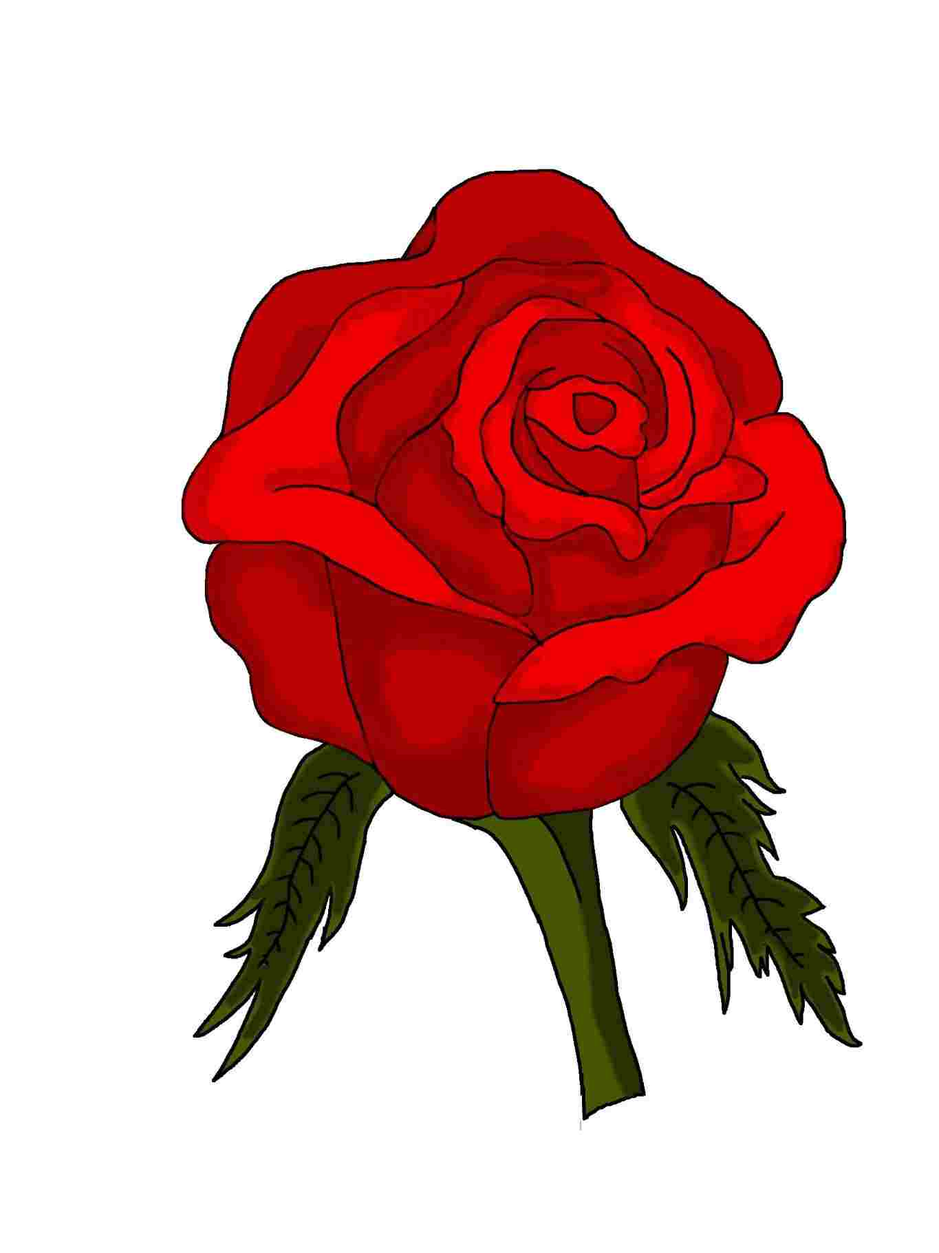 1365x1820 Youtuberhyoutubecom How Simple Flower Drawing With Color To Draw