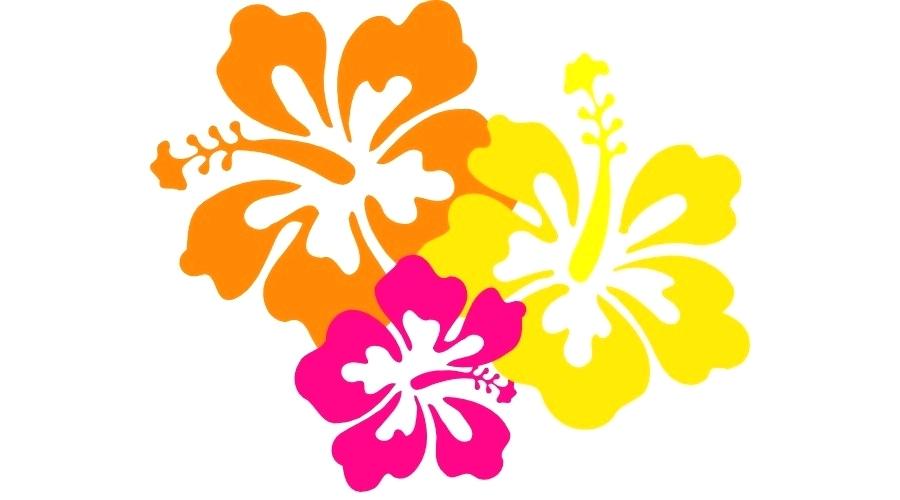 900x500 Flower Drawing Clipart