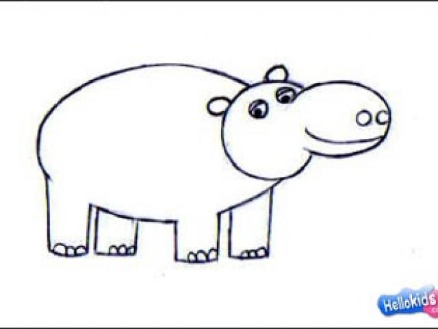 640x480 Free Drawn Hippo, Download Free Clip Art