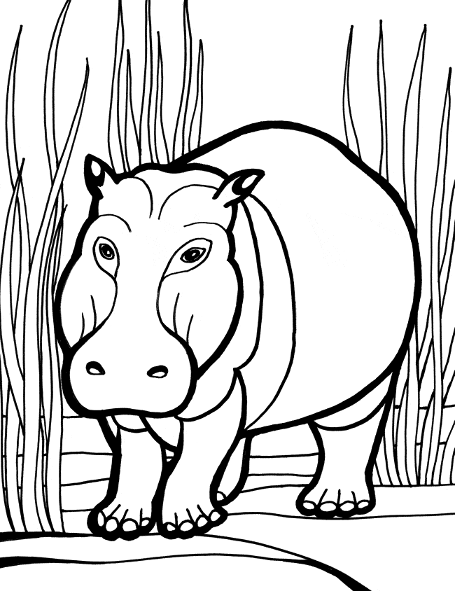650x844 Hippo Coloring Pages Cute Cartoon